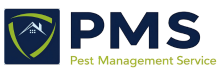 Pmssurat
